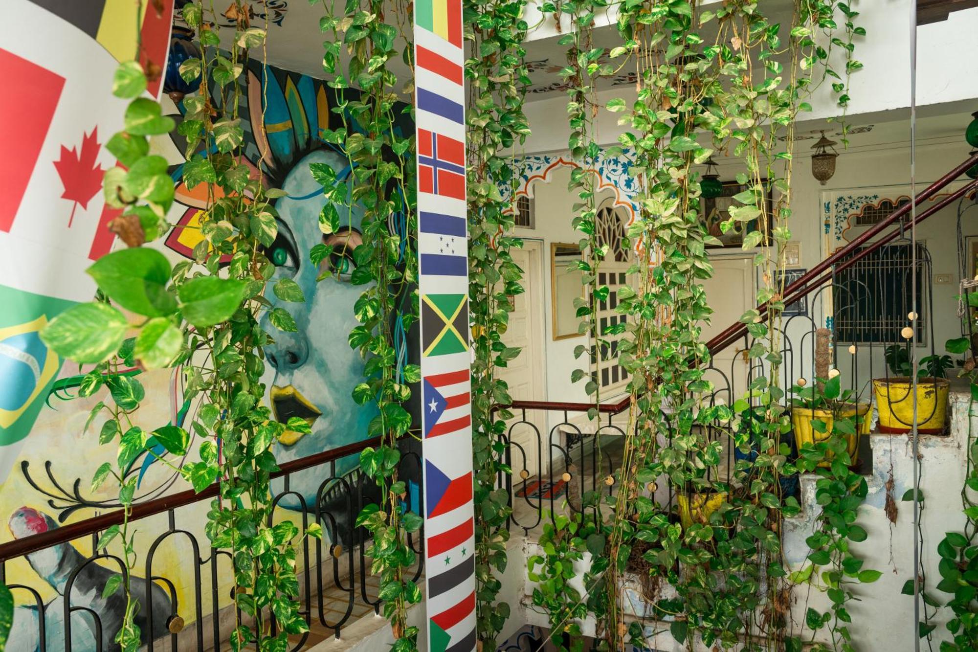 Hostel Dreamyard Udaipur